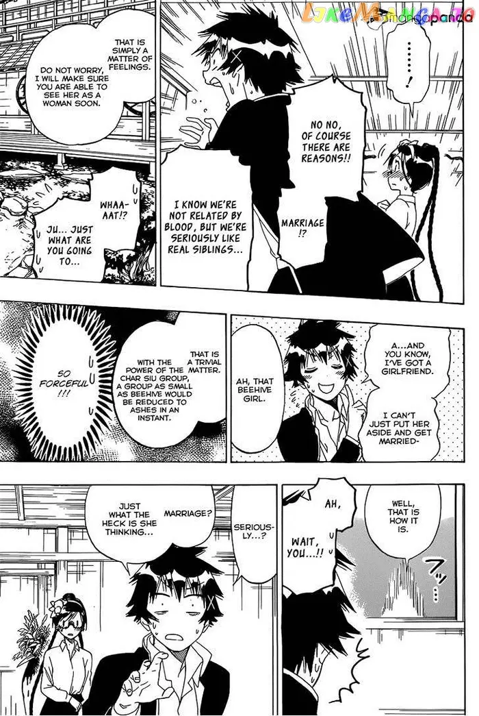Nisekoi Chapter 148 image 13_optimized